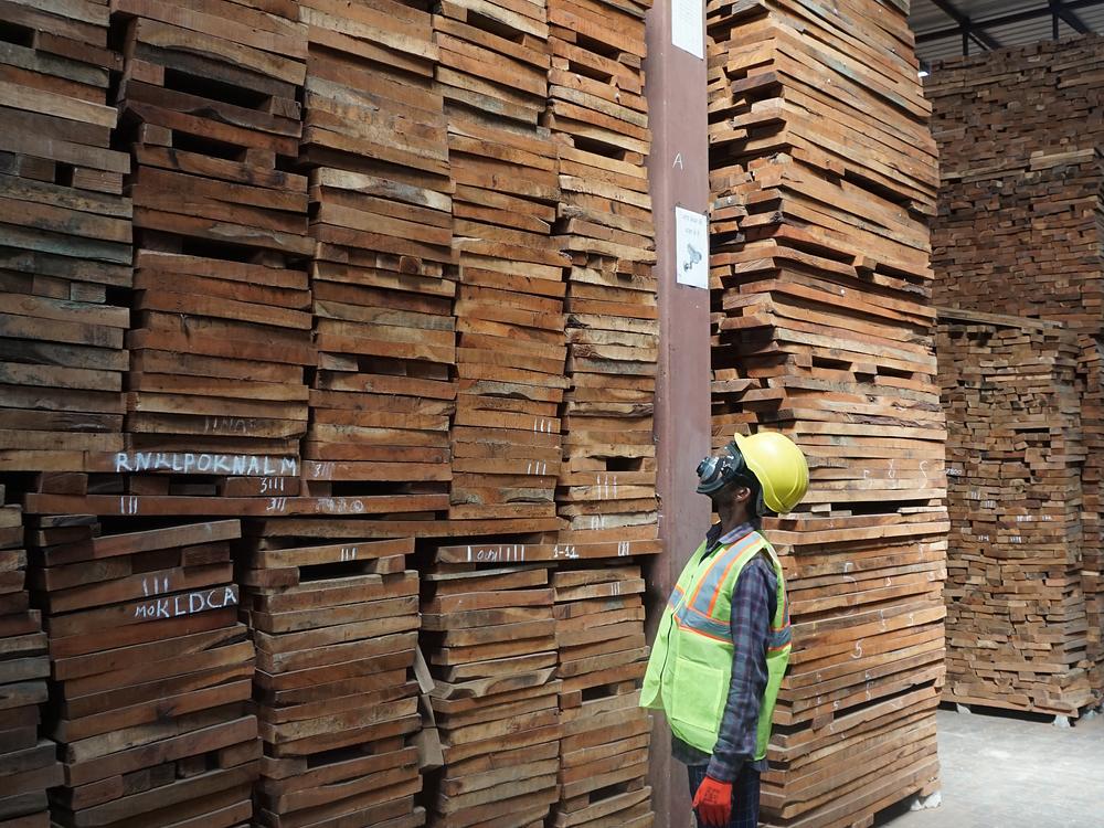 A worker in hard hat and hi-vis vest beside a stack of sawn boards several metres tall